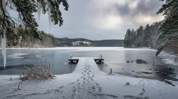 Kış manzarası karla kaplı ağaçlar ve göl
