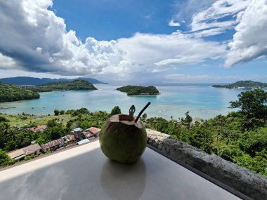 Hindistan cevizi kuyruğunun dikey bir görüntüsü ve arka planda bir kumsal görüntüsü.
