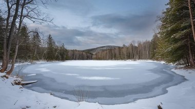 Ormandaki kış gölü