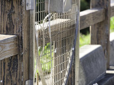 Tahta direkli bir tel ve içinden eski bir elektrik kablosu geçiyor. Kırsal doku, dış bariyer, hasar görmüş altyapı..