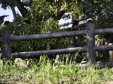 Ön planda yemyeşil çimenler, ağaçlar ve yapraklardan oluşan yoğun bir arka planı olan, doğal bir ortamda kırsal ahşap bir çit. Kırsal cazibe, doğal engel, açık hava mahremiyeti..