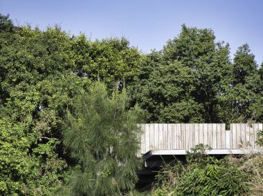 Ahşap gözlem güvertesi ve yemyeşil yaprakların arasından bakan metal tabanlı. Doğa, açık hava eğlencesi, sürdürülebilir mimari.