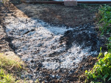 Yerde yeşil yaprakların yanında beyaz kül ve koyu kömür yığını var. Evde bahçıvanlık, toprak düzenlemesi, atık imhası..