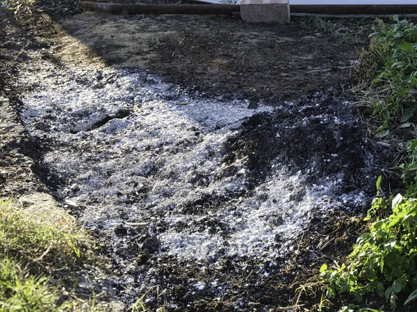 Yerde yeşil yaprakların yanında beyaz kül ve koyu kömür yığını var. Evde bahçıvanlık, toprak düzenlemesi, atık imhası..