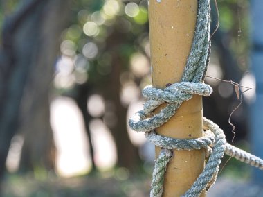 Beyaz ve yeşil yamalı kalın, yıpranmış bir ip, sarı bir direğin etrafına güvenli bir şekilde bağlanmış, yeşil yaprakların bulanık arka planına kurulmuş,.