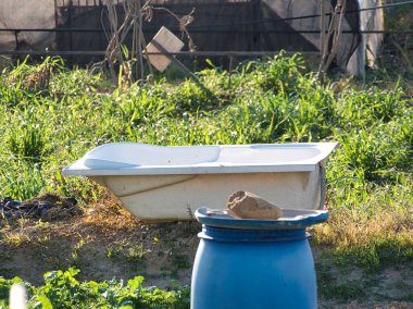 Yıpranmış beyaz bir küvet çimenli bir yamaçta, doğal ışığın altında duruyor. Önünde mavi bir fıçı ve bir kaya var. Kırsal ve alışılmadık bir manzara yaratıyor..