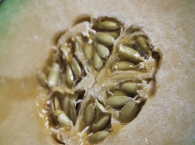 Kavunun iç yüzeyine yakın çekim, canlı turuncu eti ve sayısız açık renkli tohumu gösteriyor..