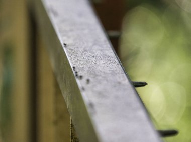 Bir sıra küçük siyah karınca, yıpranmış metalik bir çubuğun kenarında sürünür. Sığ alan derinliği yeşil ve kahverengi arka planda yumuşak bir bokeh etkisi yaratır..