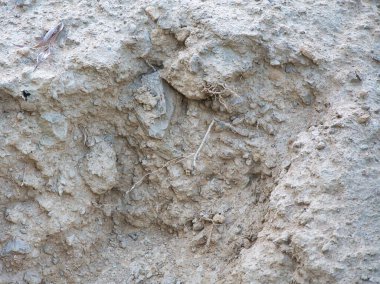 Sıkıştırılmış toprak katmanları, küçük çakıl taşları ve yumuşak doğal ışıklandırmada ortaya çıkan bitki kökleri içeren kuru, dokulu bir toprak duvarının yakın çekimi..