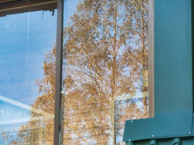 Altın sonbahar ağaçlarının yansıması ve açık mavi gökyüzü modern bir binanın camında, metal kaplamalı..
