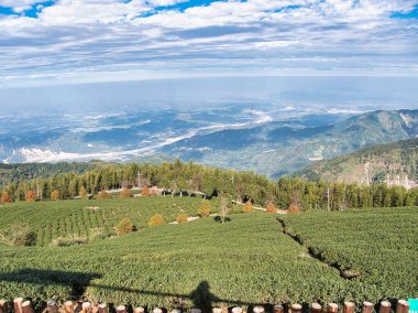 Bereketli bir yeşil çay çiftliği Tayvan 'ın kayan tepeleri boyunca uzanır. Uçsuz bucaksız bulutlu gökyüzünün altındaki vadiyi nefes kesen bir manzara sunar. Huzurlu bir yüksek irtifa barış hissi uyandırır..