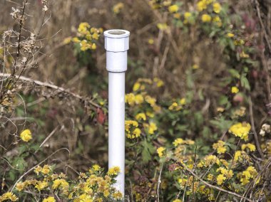 Beyaz bir PVC havalandırma borusu yaban sarı kasımpatı sahasının ortasında dikey duruyor, kırsal bir alanda altyapının ve doğal güzelliğin kesişimini gösteriyor..