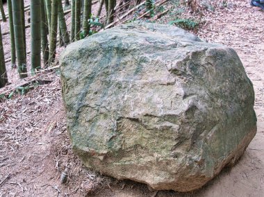 Devasa yıpranmış bir kaya parçası, bambu koruluğunun yakınındaki bir orman patikasının hemen yanında, bereketli bir ormanlık alanda antik bir dayanıklılık ve dinginlik hissi uyandırıyor..