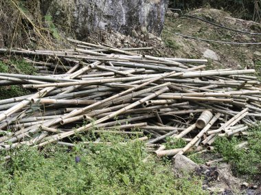 Kırsal bir orman bölgesindeki engebeli toprak zemine saçılmış büyük bir bambu kazığı yığını, ham doğal yapı malzemeleri ve kırsal kullanım alanı atmosferini gözler önüne seriyor..