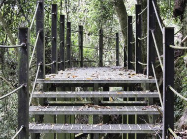 A metal industrial walkway leads hikers through a lush, dense forest, providing a safe passage while evoking a sense of peaceful exploration and environmental connection.