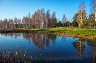 Belarus Minsk bölgesindeki golf sahasının yakınında sonbahar ormanı gölü