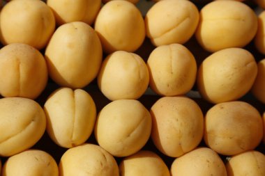 Arka plan olarak sarı, sulu kayısı