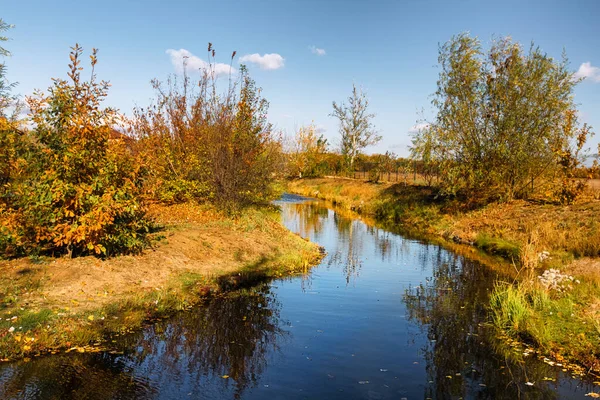 Küçük nehri olan sonbahar manzarası. Ağaçların ve çalıların altın rengi sonbahar. Suyun mavi gökyüzü yansıması. Kırsal sonbahar manzarası.