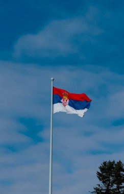 Güzel ve mavi bir arkaplanı olan kırmızı ve beyaz Sırp bayrağı.