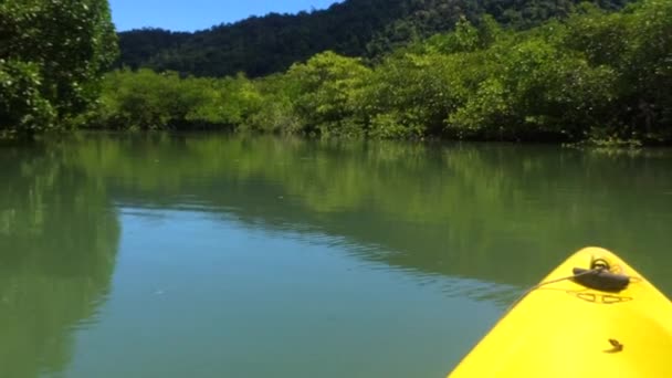Caminar a lo largo del río en la selva, kayak — Vídeo de stock