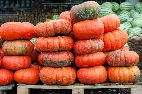 Beaucoup Citrouilles Orange Mûres Trouvent Dans Rue Vente Légumes Sur — Photo