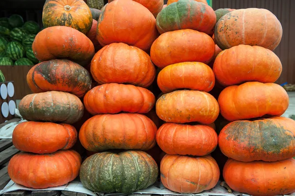 Beaucoup Citrouilles Orange Mûres Trouvent Dans Rue Vendre Des Légumes — Photo