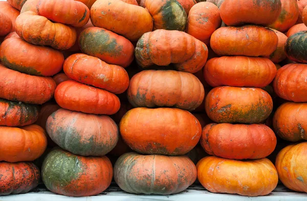 Beaucoup Citrouilles Orange Mûres Trouvent Dans Rue Vendre Des Légumes — Photo