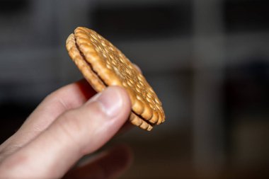 Kakaolu bisküvi sandviçi tutan bir elin detaylı makro fotoğrafı zengin çikolata dolgusunu, parçalanmış dokusunu ve iştah açıcı görünümünü gözler önüne seriyor. Yemek reklamı, ürün ambalajı ve tatlı promosyonları için ideal..