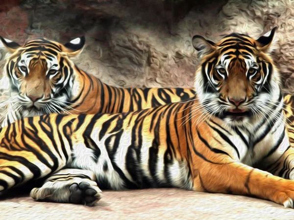 Olieverf schilderij Tiger — Stockfoto