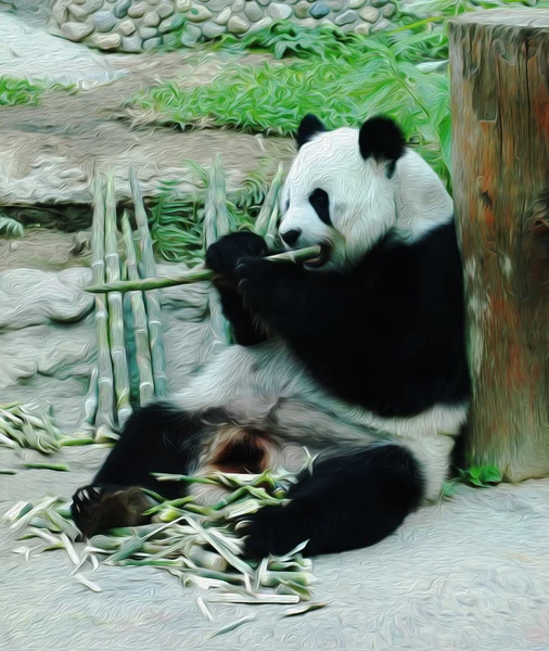 Yağlı boya Panda