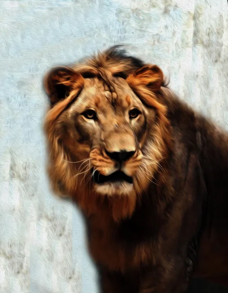 Oil painting lion — Stock Photo, Image
