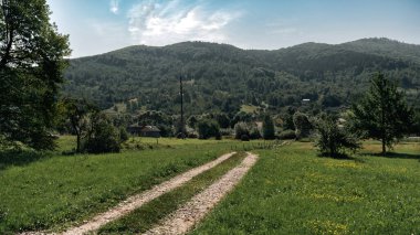 Ağaçları ve ormanlık tepeleri olan yeşil bir çayır boyunca uzanan kırsal bir toprak yol mavi bir gökyüzünün altında. Manzara, barış, özgürlük, seyahat ve doğayla bağlantıyı iletir. Kırsal, ekoloji ve açık hava yaşam tarzı kavramı.