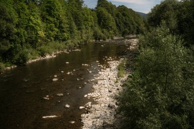 Yeşil ormanlık bir vadiden akan sakin bir dağ nehri. Her iki tarafında kayalık kıyılar ve ağaçlar var. Yumuşak güneş ışığı su yüzeyini ve çevresindeki bitki örtüsünü vurgular. Görüntü vahşi doğayı, tazeliği ve doğayla uyumu temsil ediyor..