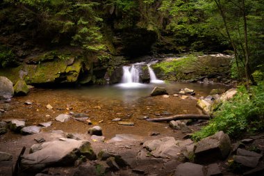 Etrafı yosun kaplı kayalar ve yemyeşil bitki örtüsüyle çevrili berrak bir dereye akan sakin bir orman şelalesi. Huzurlu orman manzarası ve pürüzsüz akan su doğal ve sakin bir atmosfer yaratıyor, doğa için mükemmel bir arka plan.