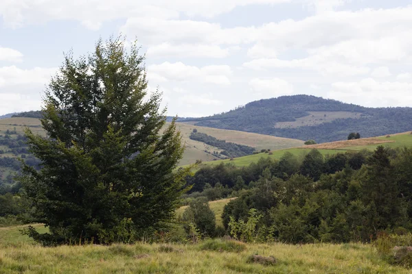 Sommerliche Berglandschaft — Stockfoto