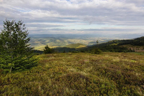 Montagnes d'été paysage — Photo