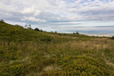 Karpat Dağları'nda yaz günbatımı manzara