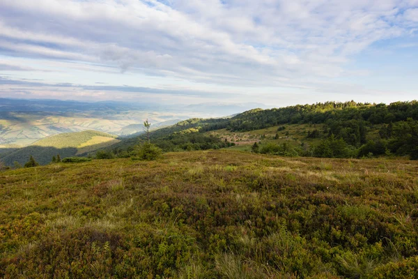 Sommer Sonnenuntergang Landschaft in den Karpaten — Stockfoto