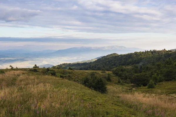 Sommer Sonnenuntergang Landschaft in den Karpaten — Stockfoto