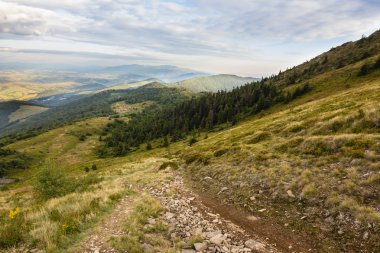 Karpat Dağları'nda yaz günbatımı manzara