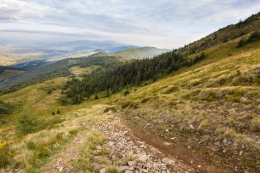 Karpat Dağları'nda yaz günbatımı manzara