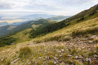 Karpat Dağları'nda yaz günbatımı manzara