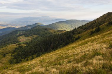 Karpat Dağları'nda yaz günbatımı manzara