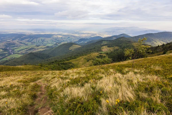 Summer sunset landscape in Carpathian mountains — Stock Photo, Image