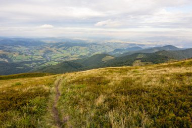 Karpat Dağları'nda yaz günbatımı manzara