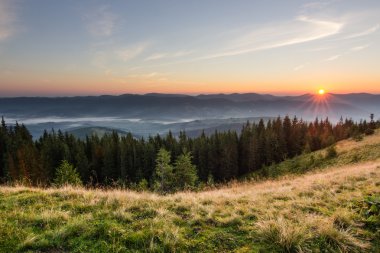 Karpat Dağları'nda gündoğumu manzara yaz