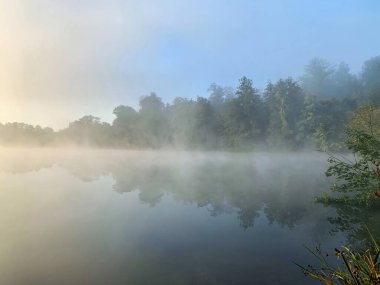 Yoğun Sabah Sisi Sakin bir Göl ve Orman Kıyısında Yuvarlanıyor