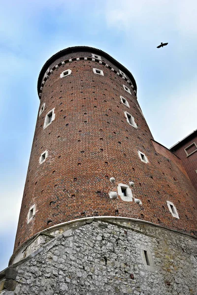 Krakow Polonya 'nın Wawel Kalesi' ni izleyin. Aşağıdan çekilmiş.