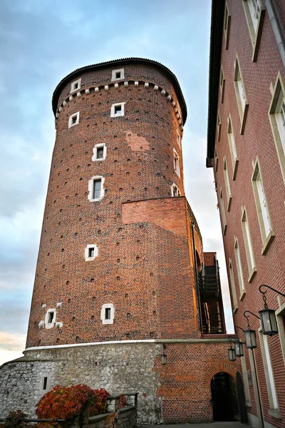 Krakow Polonya Wawel Kalesi 'nin gözetleme kulesi