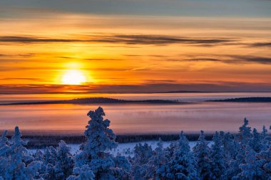 İsveç Laponya, İskandinavya 'da karla kaplı bir arazide gün batımı. Sıcak akşam ışığında kış manzarası